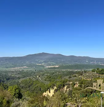 Foto annuncio 28