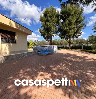 Foto annuncio 24