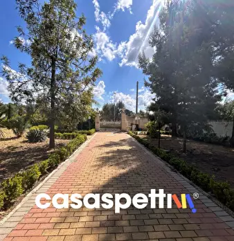 Foto annuncio 29