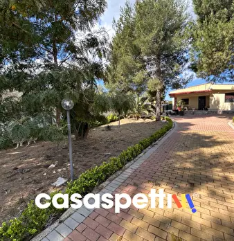 Foto annuncio 34