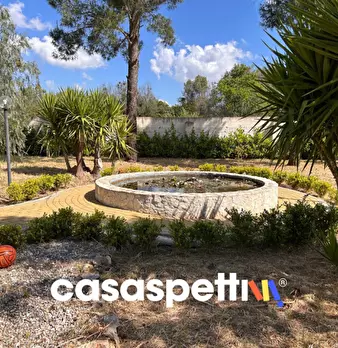 Foto annuncio 35