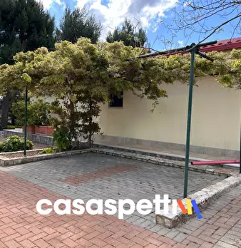 Foto annuncio 55