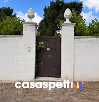 Foto annuncio 61