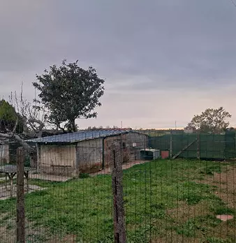 Foto annuncio 6