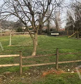 Foto annuncio 18