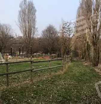 Foto annuncio 24