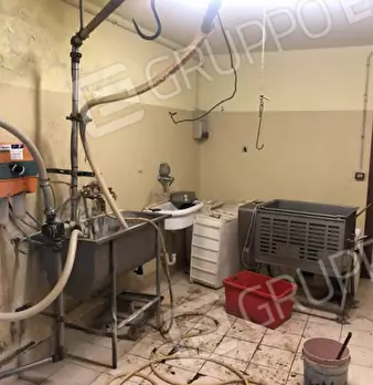 Foto annuncio 33