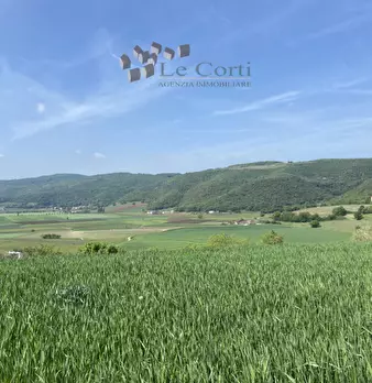 Foto annuncio 6