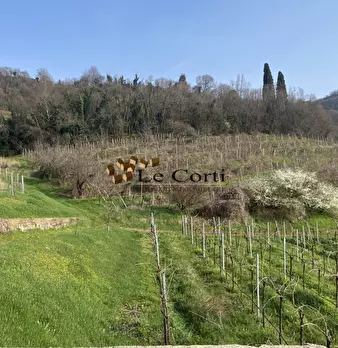 Foto annuncio 10