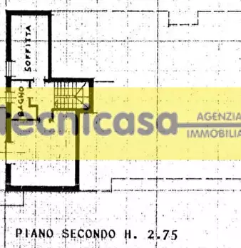Foto annuncio 49