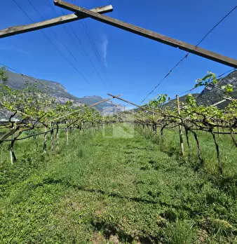 Foto annuncio 11