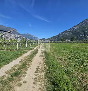 Foto annuncio 1