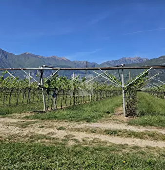 Foto annuncio 2