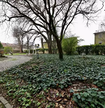 Foto annuncio 31