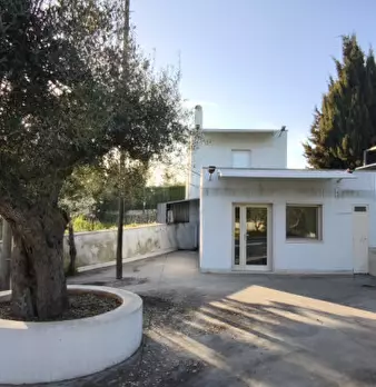 Foto annuncio 28