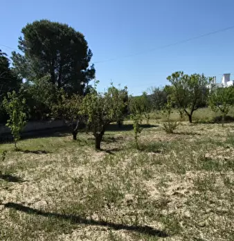 Foto annuncio 38