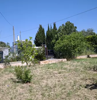 Foto annuncio 39
