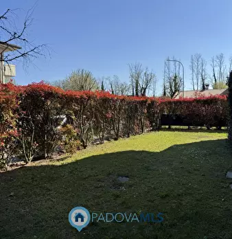 Foto annuncio 12
