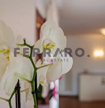 Foto annuncio 17