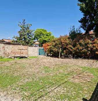 Foto annuncio 6