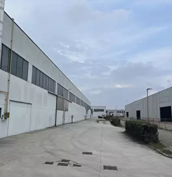 Foto annuncio 10