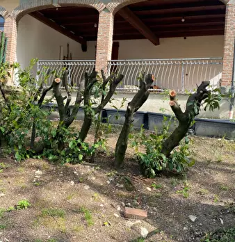 Foto annuncio 5