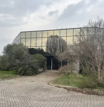 Foto annuncio 1