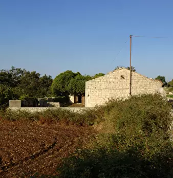 Foto annuncio 3