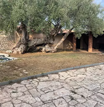 Foto annuncio 3