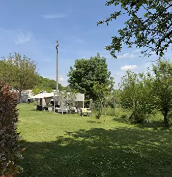 Foto annuncio 6