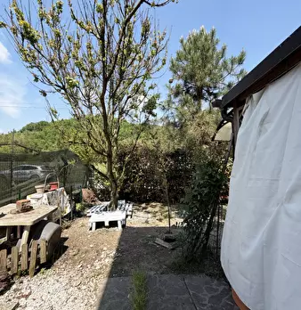 Foto annuncio 18