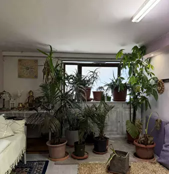 Foto annuncio 20