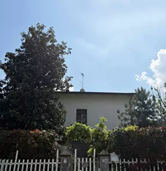Foto annuncio 50