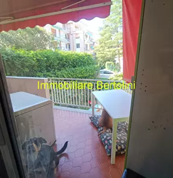 Foto annuncio 19