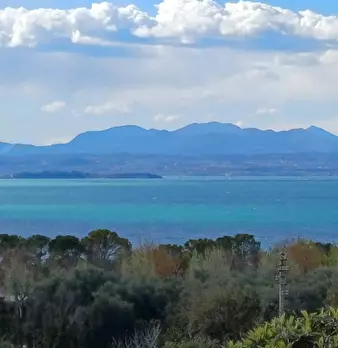 Foto annuncio 31