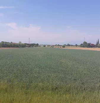 Foto annuncio 22