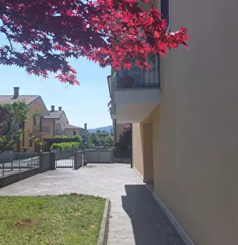 Foto annuncio 24