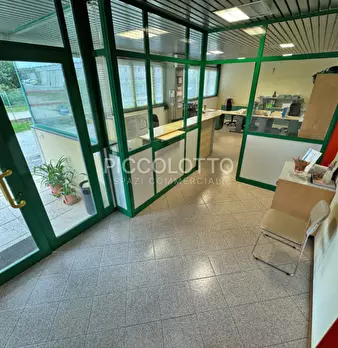 Foto annuncio 7
