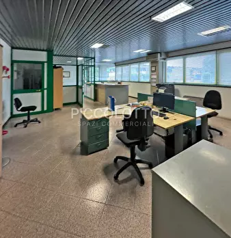 Foto annuncio 9