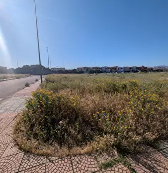 Foto annuncio 4
