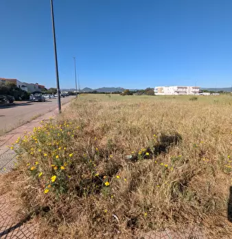 Foto annuncio 6