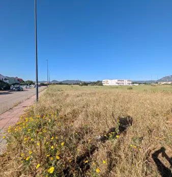Foto annuncio 8