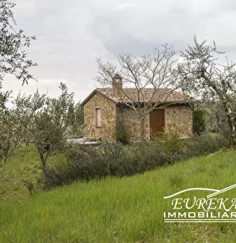 Foto annuncio 11