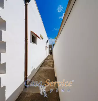 Foto annuncio 7
