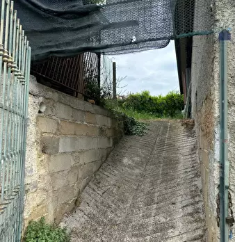 Foto annuncio 24
