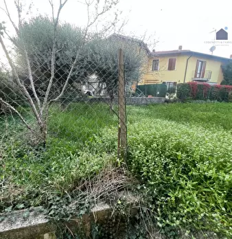 Foto annuncio 26