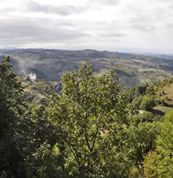 Foto annuncio 6