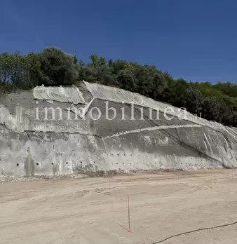 Foto annuncio 16