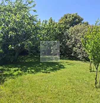 Foto annuncio 32