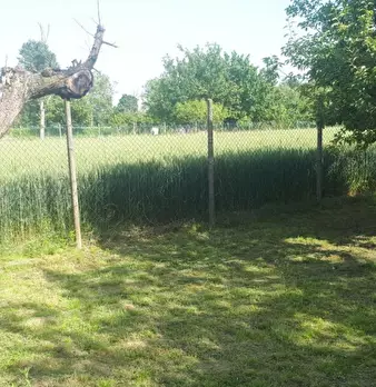Foto annuncio 4